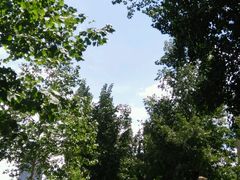 android_upload_pic-横店电影城横影巨幕S-PLUS(港悦广场店)