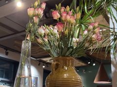 -一坐一忘云南菜(三里屯店)