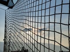 -喵屿·大理花园猫咖