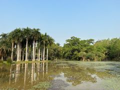 -中国科学院西双版纳热带植物园