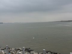 海鸥岛-海鸥岛