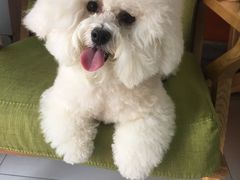 -惠康宠物医院(华能路店)