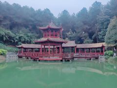 -铁山坪森林公园