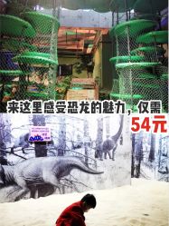 -恐龙探索乐园(磁器口店)
