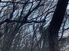 -苏州上方山国家森林公园