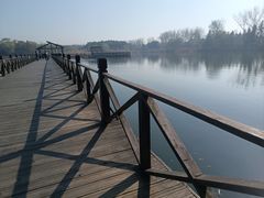 -溱湖国家湿地公园