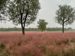 -汉长安城未央宫国家考古遗址公园