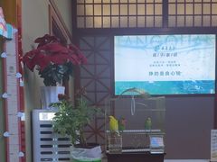 -汤泉良子(马连道店)