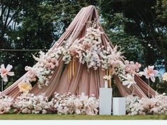 -芭厘农庄老字号·清远鸡