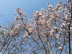 -三里河公园