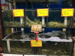 -蚝专家(北滘店)