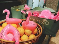 大堂-Flamingo Bloom(TST /尖沙咀店)