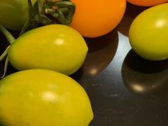 -季季山·云南野生菌火锅(上海首店)