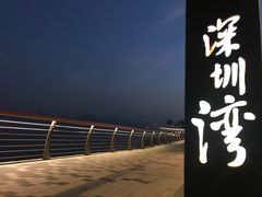 -深圳湾公园(南山区)