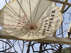 -苏州上方山国家森林公园