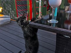 -EATALIA意塔利意式餐厅(鼓楼店)