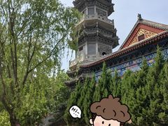 -盛世南宫影视城(北普陀影视城)