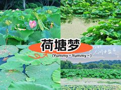 -月湖风景区
