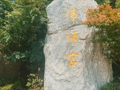 -牛首山文化旅游区