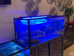 -酌宴府The China Club·广州万富希尔顿酒店(云城东路店)