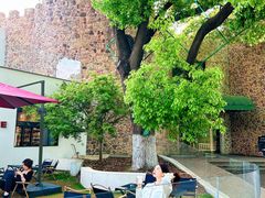 -J Create城市露营咖啡·简餐·宠物(上海动物园店)