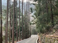 -安吉龙王山风景区