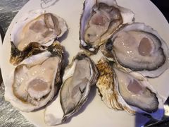 -千岛蚝高压锅生蚝·人参火锅(白云万达店)