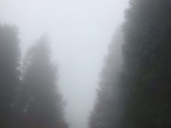-山王坪喀斯特国家生态公园