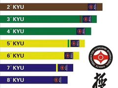 -极真空手道修远道场