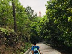 -分塔山省级森林公园