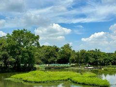 -西溪国家湿地公园