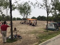 -东郊湿地公园