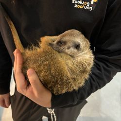 -Zoolung Zoolung动物主题公园(海信广场店)