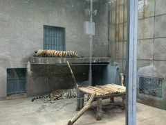 -秦岭欢乐世界