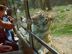 -西安秦岭野生动物园