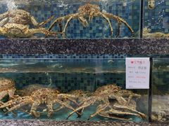 -宝燕壹号(徐汇店)