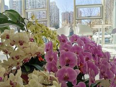 -张一元茶庄(望京店)