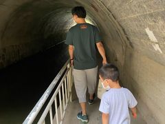 -白水寺森林公园