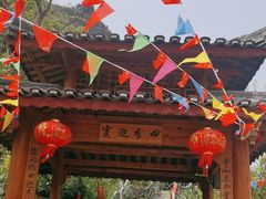 -会仙湿地