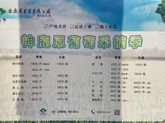 -白鹿原葡萄主题公园