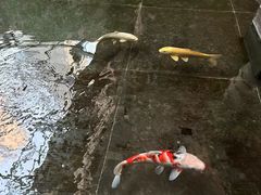 -天津海河悦榕庄·Lobby Lounge大堂吧