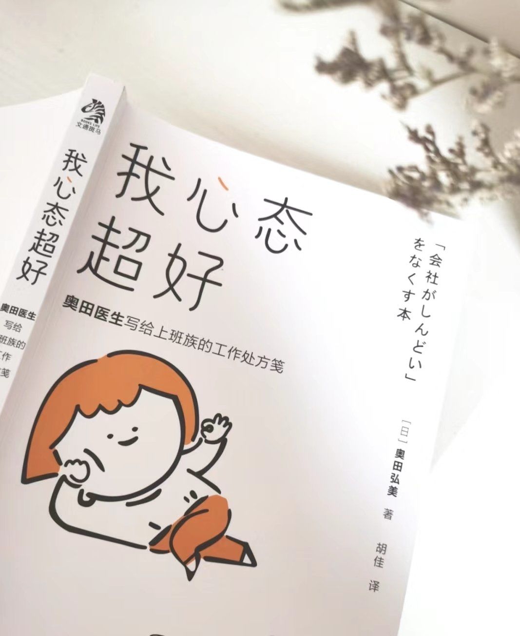 推荐一本调整心态的书