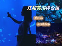 -江和美海洋公园
