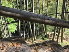 -藏龙百瀑风景区