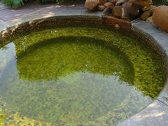 -漳州佰翔圆山酒店·圆山畔西餐厅