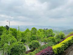 -铁山坪森林公园