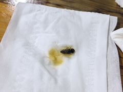 -越洋肖氏老米线(杨家坪店)