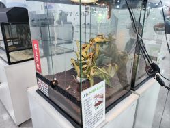 -神奇动物撸宠馆·羊驼·小浣熊·异宠(豫园店)