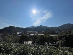 -龙井壹号·茶缘山景宴(龙井村店)