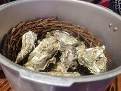 高压竹笼蒸蚝-蚝堡海鲜·威海菜·海肠捞饭·烧烤·亚洲吃蚝公司(幸福门店)